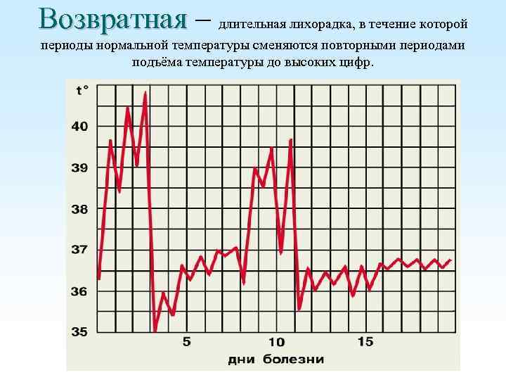 Возвратная – длительная лихорадка, в течение которой периоды нормальной температуры сменяются повторными периодами подъёма