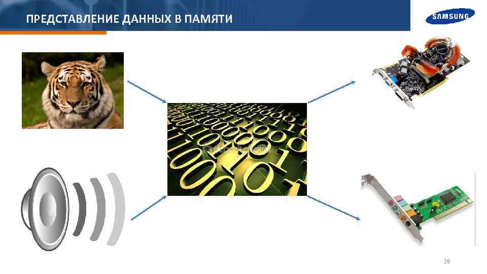 ПРЕДСТАВЛЕНИЕ ДАННЫХ В ПАМЯТИ 26 