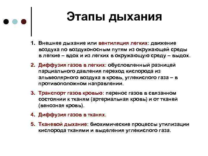 Этапы дыхания 1. Внешнее дыхание или вентиляция легких: движение воздуха по воздухоносным путям из