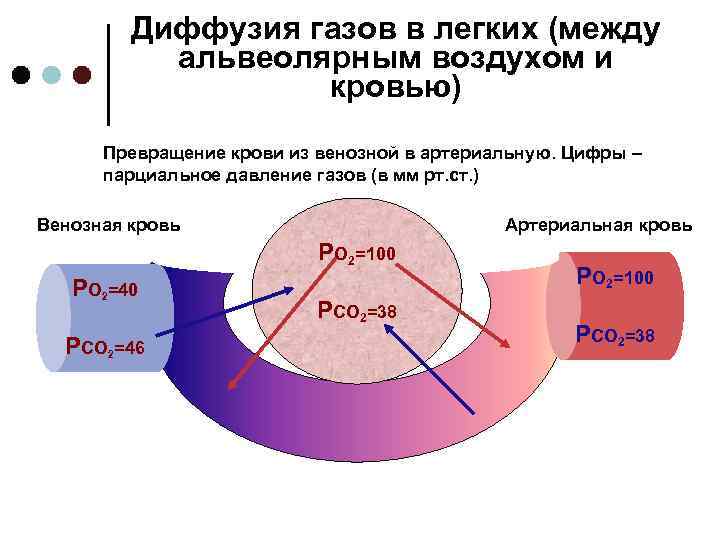 Процесс образования углекислого газа выражен схемой