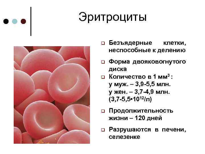 Элементы крови содержащие гемоглобин
