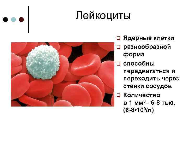 Лейкоциты форма тела. Форма лейкоцитов. Форма лейкоцитов человека. Ядерный лейкоцит. Передвижение лейкоцитов.