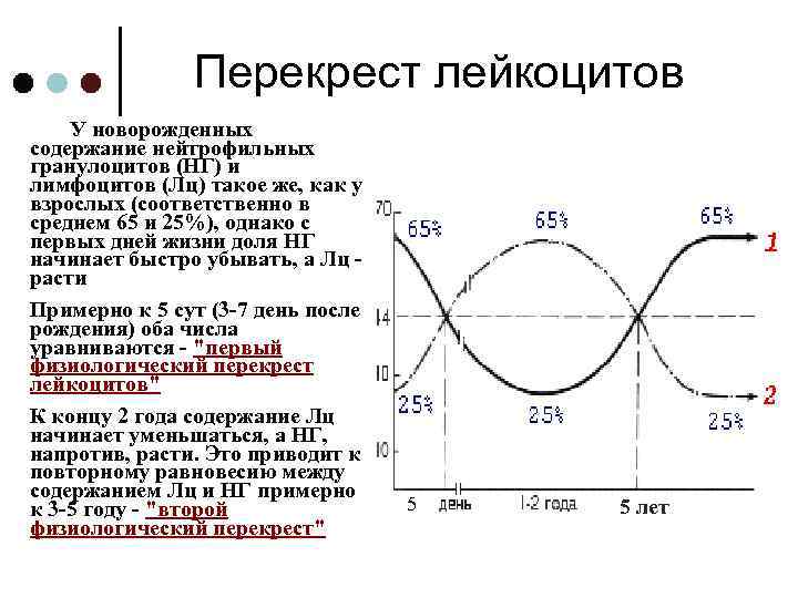 Перекрест. Перекрест лейкоцитарной формулы у детей. Физиологический Перекрест в лейкоцитарной формуле. Первый физиологический Перекрест в лейкоцитарной формуле. Перекрест лимфоцитов у детей.