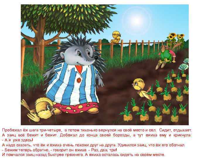 Пробежал ёж шага три-четыре, а потом тихонько вернулся на своё место и сел. Сидит,