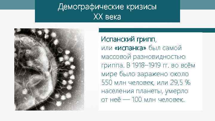 Демографические кризисы XX века Испанский грипп, или «испанка» был самой массовой разновидностью гриппа. В