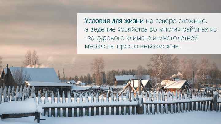 Условия для жизни на севере сложные, а ведение хозяйства во многих районах из -за