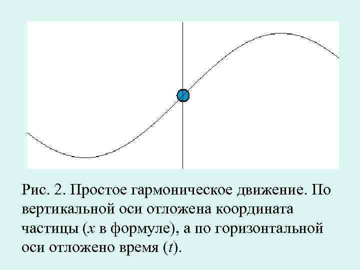 Рис. 2. Простое гармоническое движение. По вертикальной оси отложена координата частицы (x в формуле),