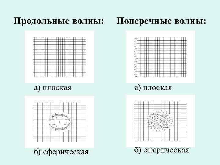 Продольные волны: Поперечные волны: а) плоская б) сферическая 