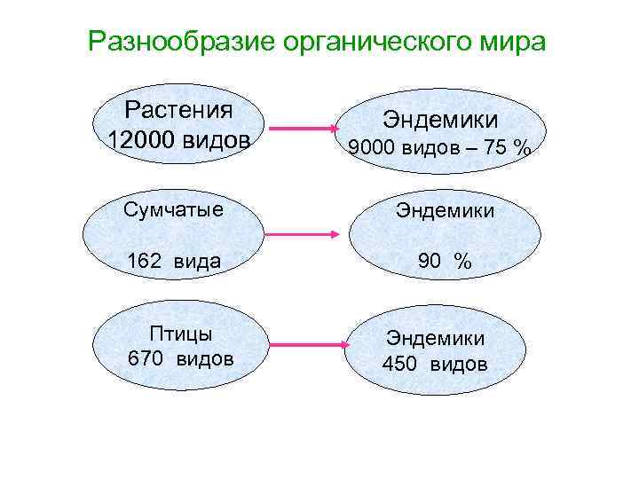 Разнообразие органического мира Растения 12000 видов 9000 видов – 75 % Сумчатые Эндемики 162