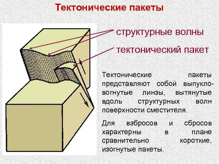 Тектонические пакеты структурные волны тектонический пакет Тектонические пакеты представляют собой выпукловогнутые линзы, вытянутые вдоль