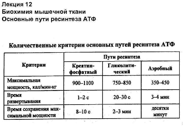 Лекция 12 Биохимия мышечной ткани Основные пути ресинтеза АТФ 
