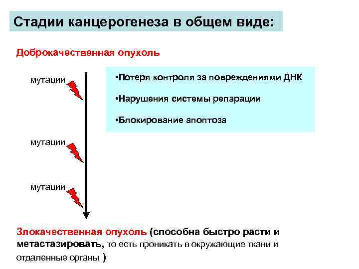 Основы канцерогенеза