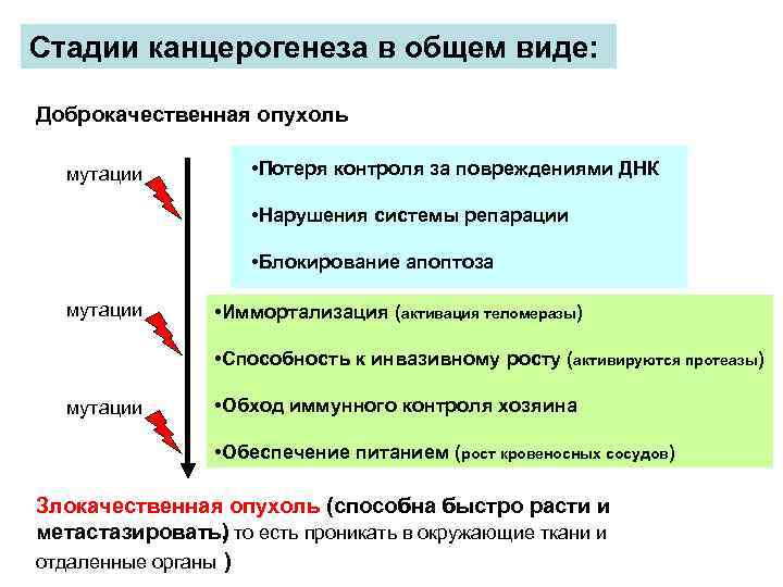 Основы канцерогенеза