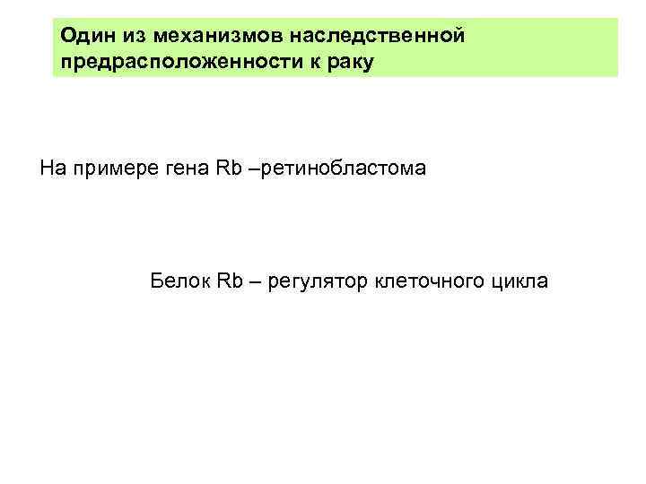 Один из механизмов наследственной предрасположенности к раку На примере гена Rb –ретинобластома Белок Rb