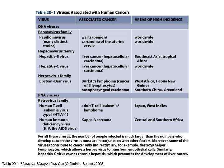Table 20 -1 Molecular Biology of the Cell (© Garland Science 2008) 
