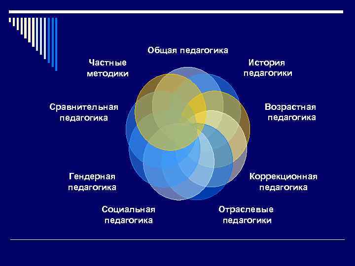 Общая педагогика Частные методики История педагогики Сравнительная педагогика Возрастная педагогика Гендерная педагогика Коррекционная педагогика