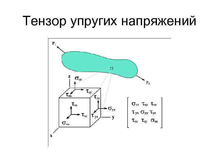 Тензор упругих напряжений 