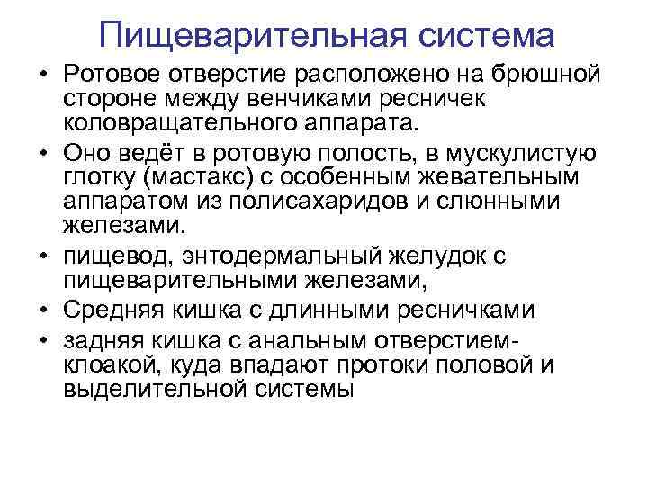 Пищеварительная система • Ротовое отверстие расположено на брюшной стороне между венчиками ресничек коловращательного аппарата.