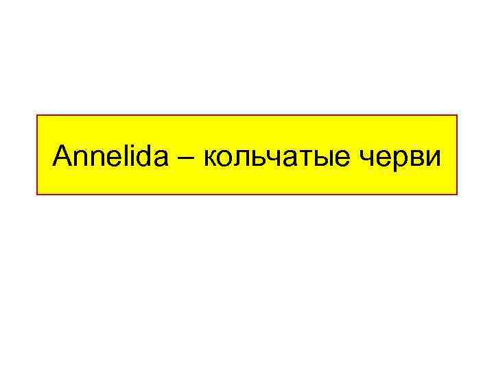 Annelida – кольчатые черви 