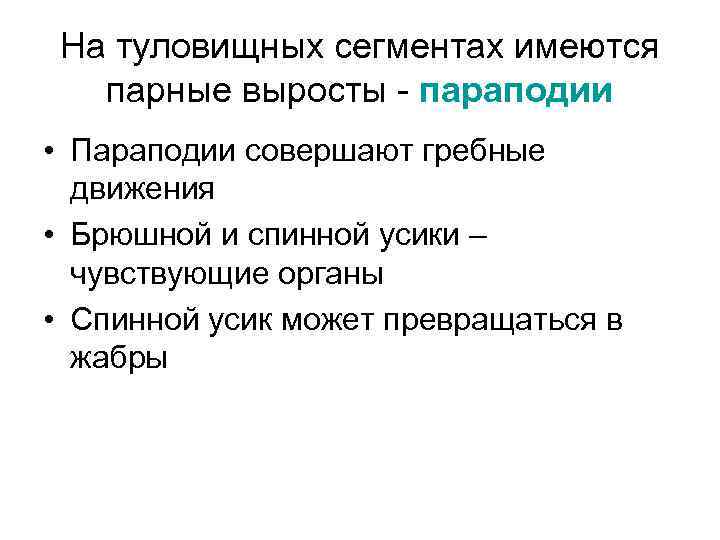 На туловищных сегментах имеются парные выросты - параподии • Параподии совершают гребные движения •