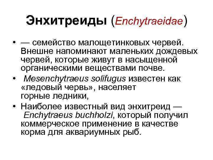 Энхитреиды (Enchytraeidae) • — семейство малощетинковых червей. Внешне напоминают маленьких дождевых червей, которые живут