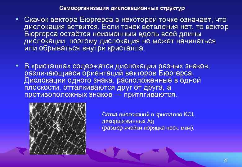 Самоорганизация дислокационных структур • Скачок вектора Бюргерса в некоторой точке означает, что дислокация ветвится.