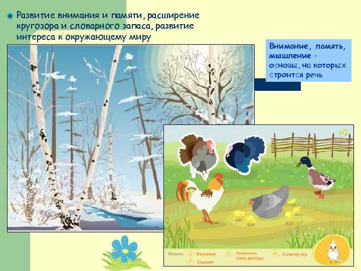 Развитие внимания и памяти, расширение кругозора и словарного запаса, развитие интереса к окружающему миру
