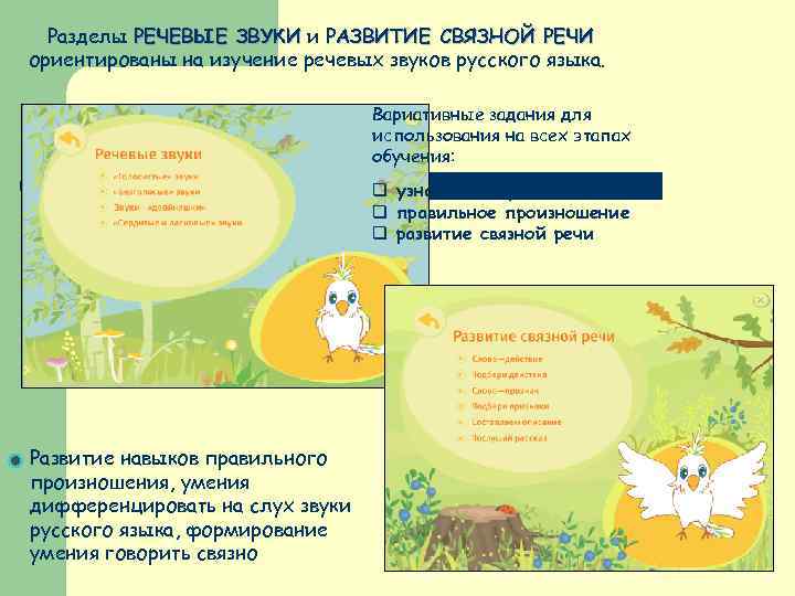 Разделы РЕЧЕВЫЕ ЗВУКИ и РАЗВИТИЕ СВЯЗНОЙ РЕЧИ ориентированы на изучение речевых звуков русского языка.