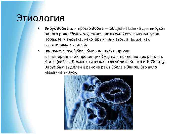 Этиология • • Вирус Эбо ла или просто Эбо ла — общее название для