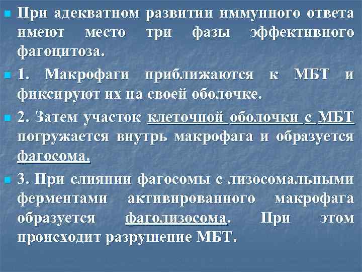n n При адекватном развитии иммунного ответа имеют место три фазы эффективного фагоцитоза. 1.