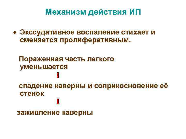 Механизм действия ИП · Экссудативное воспаление стихает и сменяется пролиферативным. Пораженная часть легкого уменьшается