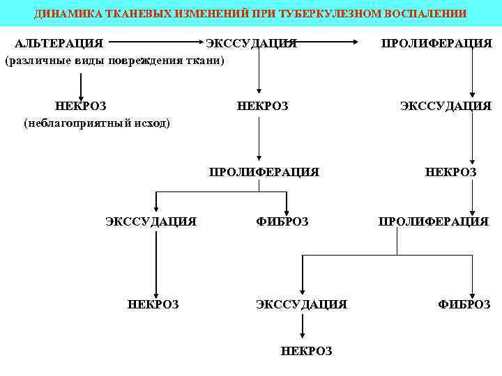 Экссудативное воспаление схема