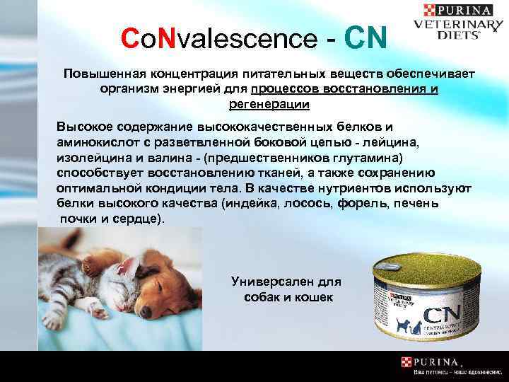 Co. Nvalescence - CN Повышенная концентрация питательных веществ обеспечивает организм энергией для процессов восстановления