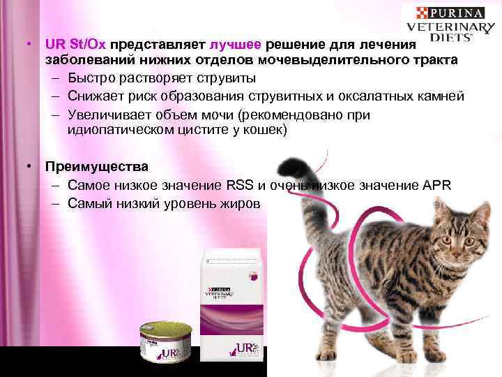  • UR St/Ox представляет лучшее решение для лечения заболеваний нижних отделов мочевыделительного тракта