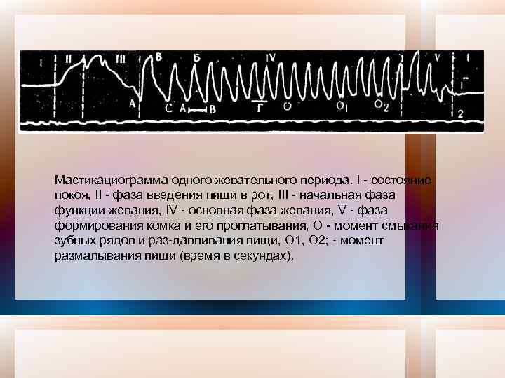 Мастикациограмма одного жевательного периода. I состояние покоя, II фаза введения пищи в рот, III