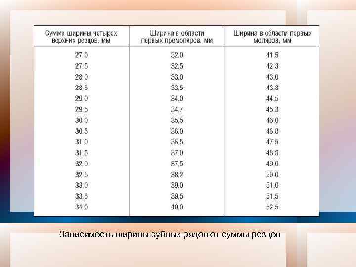 Зависимость ширины зубных рядов от суммы резцов 