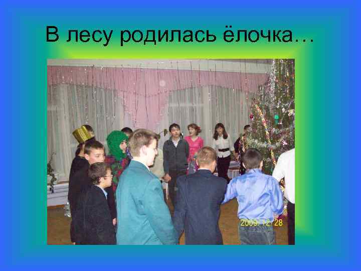 В лесу родилась ёлочка… 