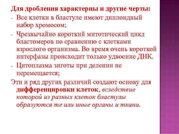Для дробления характерны и другие черты: - Все клетки в бластуле имеют диплоидный набор