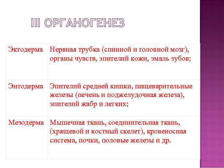 III ОРГАНОГЕНЕЗ Эктодерма Нервная трубка (спинной и головной мозг), органы чувств, эпителий кожи, эмаль