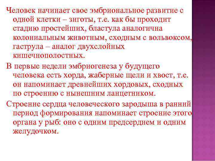 Человек начинает свое эмбриональное развитие с одной клетки – зиготы, т. е. как бы