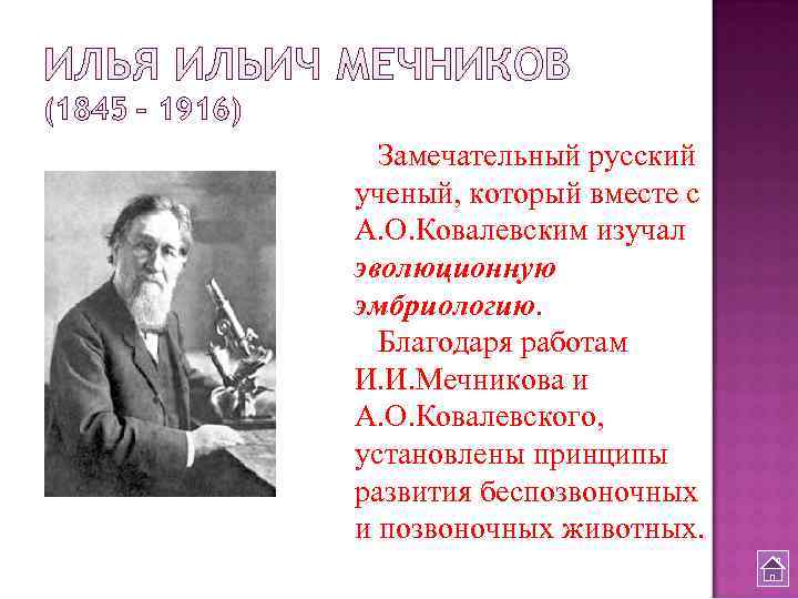 ИЛЬЯ ИЛЬИЧ МЕЧНИКОВ (1845 – 1916) Замечательный русский ученый, который вместе с А. О.