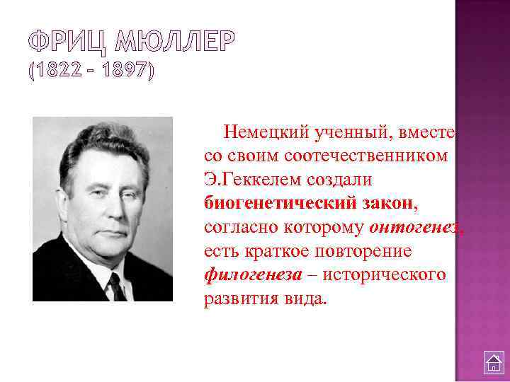 ФРИЦ МЮЛЛЕР (1822 – 1897) Немецкий ученный, вместе со своим соотечественником Э. Геккелем создали