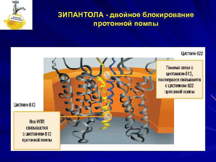 ЗИПАНТОЛА - двойное блокирование протонной помпы 