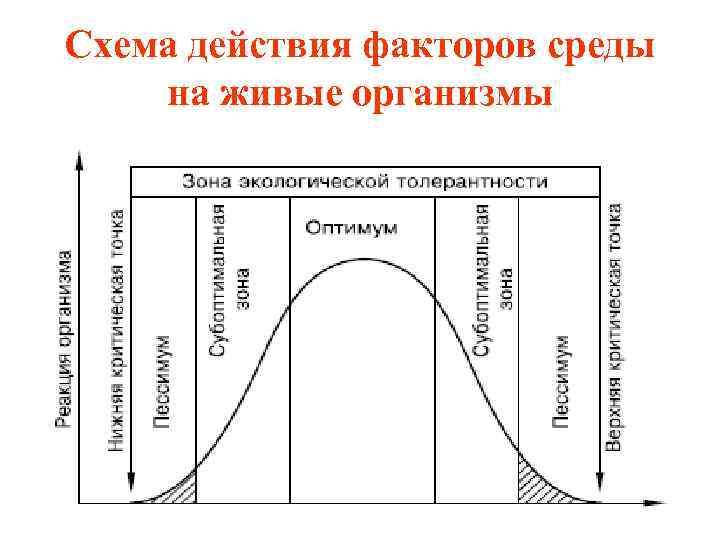 Факторы среды схема