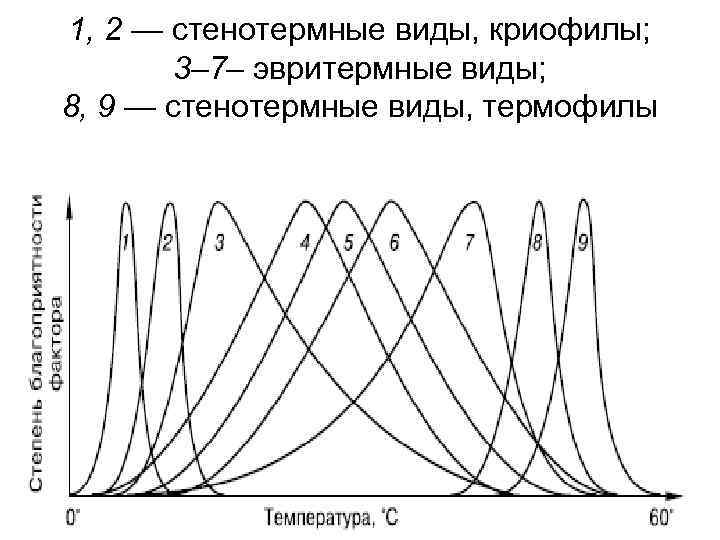 1, 2 — стенотермные виды, криофилы; 3– 7– эвритермные виды; 8, 9 — стенотермные