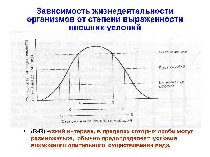 На рисунке изображена зависимость интенсивности жизнедеятельности организма от количества