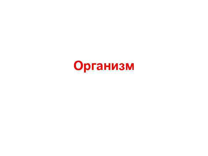 Организм 