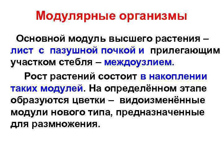 Модулярные организмы Основной модуль высшего растения – лист с пазушной почкой и прилегающим участком
