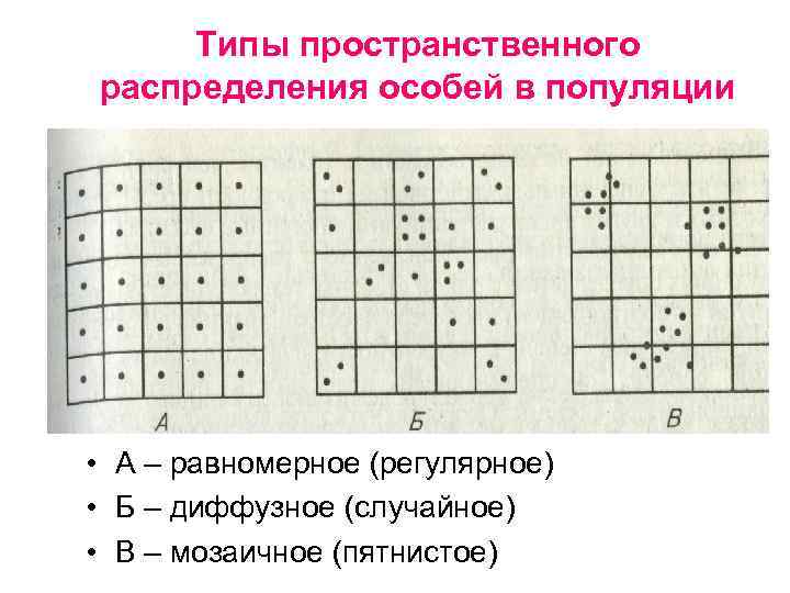 Формы существования особей в популяции