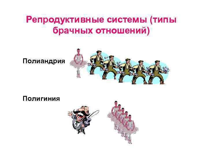 Репродуктивные системы (типы брачных отношений) Полиандрия Полигиния 